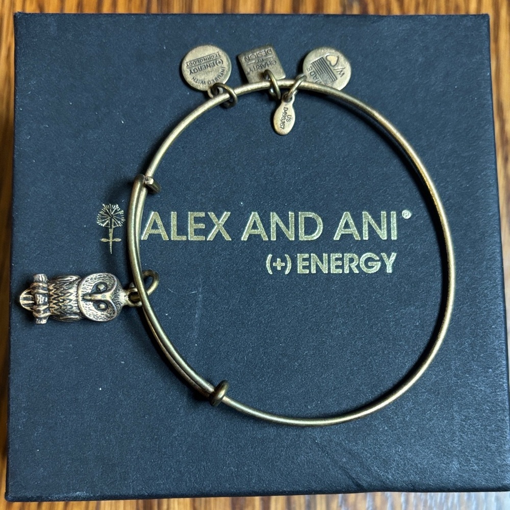 Alex and Ani Bronze Owl Bangle